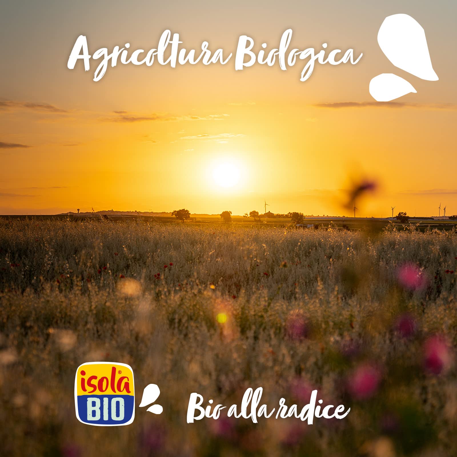 Isola bio, Bevanda mandorla proteica bio, senza glutine, senza lattosio, 1L
