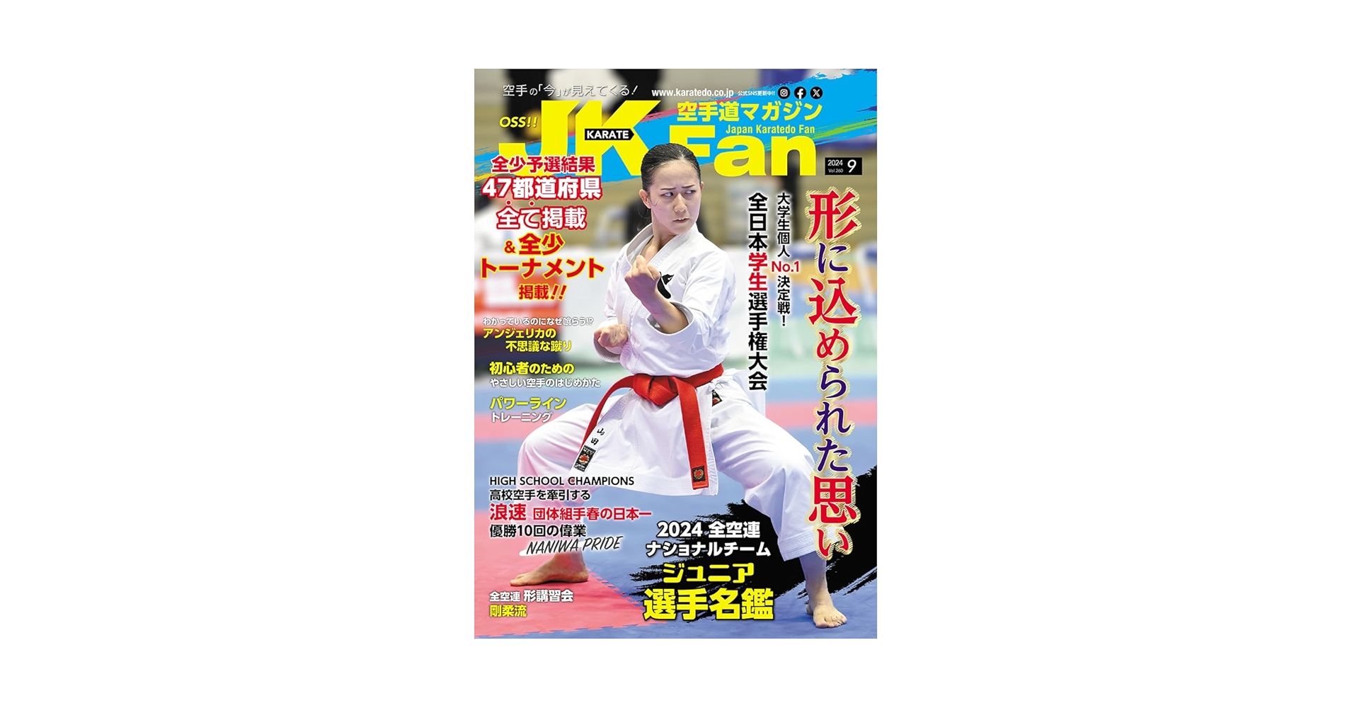 FAN-JET 公式ファンクラブマガジン 9冊セット10〜18 FAN-JET 公式ファンクラブマガジン 9冊セット10〜18