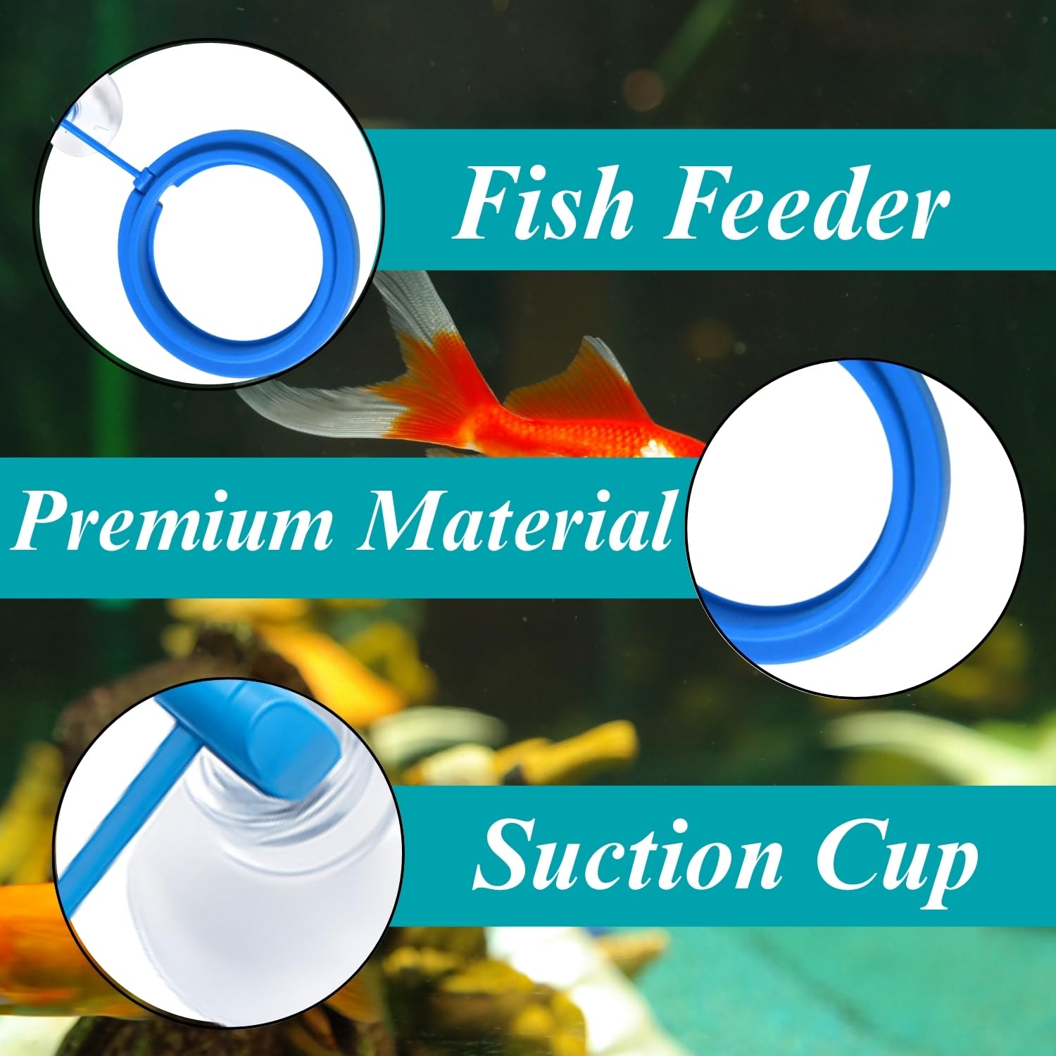 Sage Square Circle Floating Feeding Ring for Aquarium | Adjustable Suction Cup Attachment | Prevents Food Scattering | Keeps Aquarium Clean | Floating Food Tray for Flakes, Pellets | All Fish Tanks 1