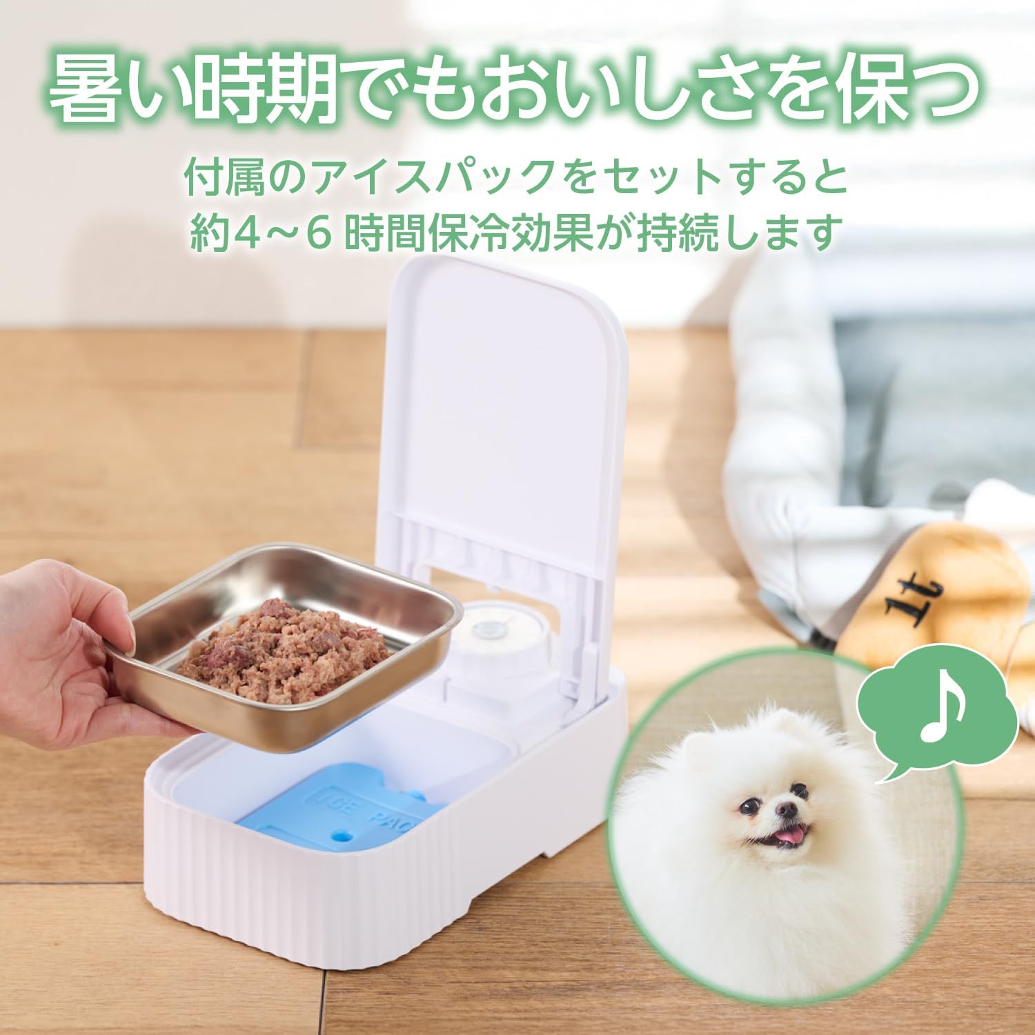 Placing ice pack and food tray in ELECOM Automatic Pet Feeder PET-AF06WH