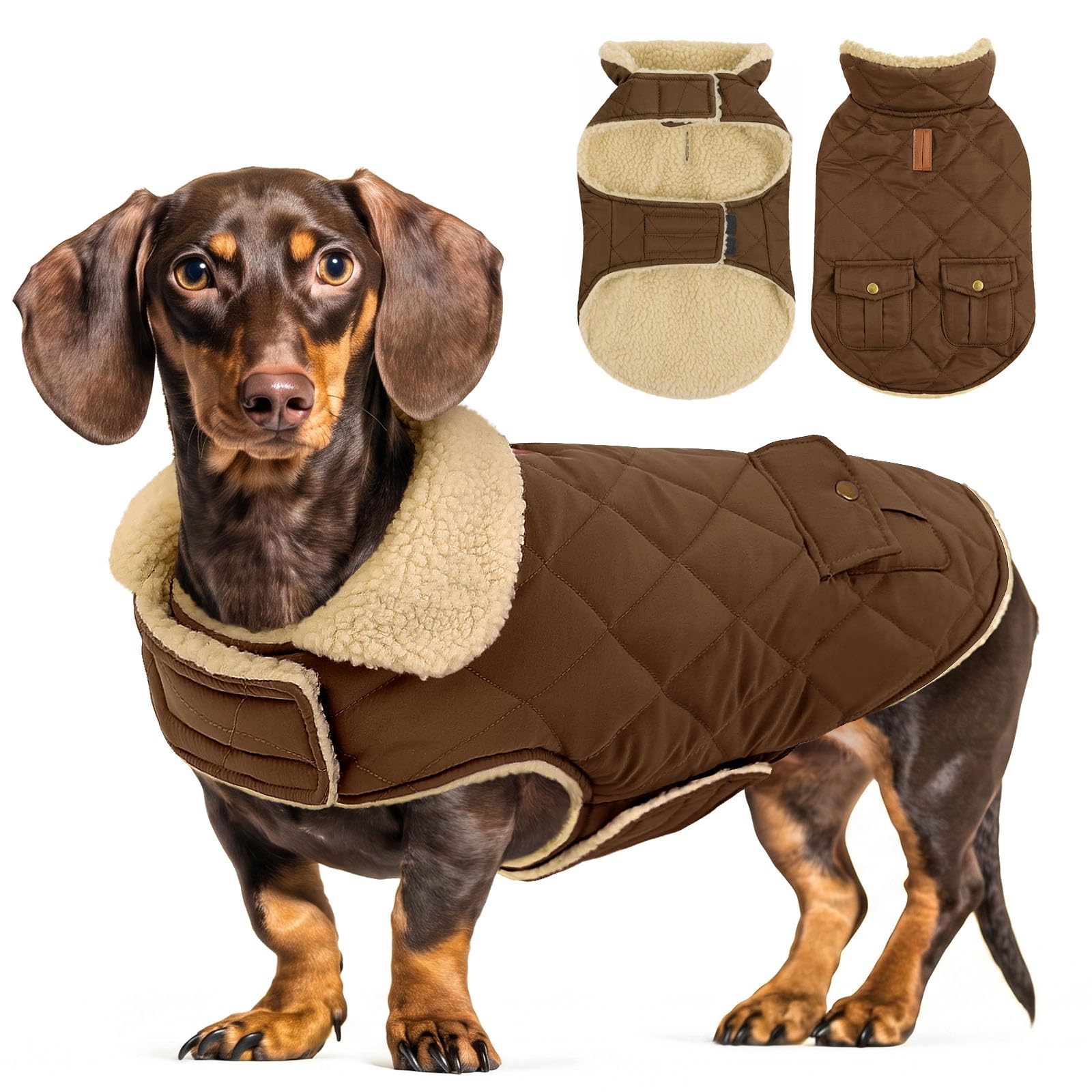 CITÉTOILE Dog Winter Coat Windproof Dog Jacket Darkcoffee L