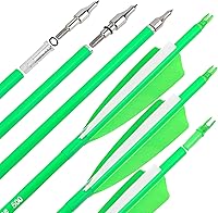 Vista 7 de Flechas de carbono de 31 pulgadas, flechas de caza de tiro con arco de color fluorescencia, 500 600 espina dorsal con plumas, flechas de práctica