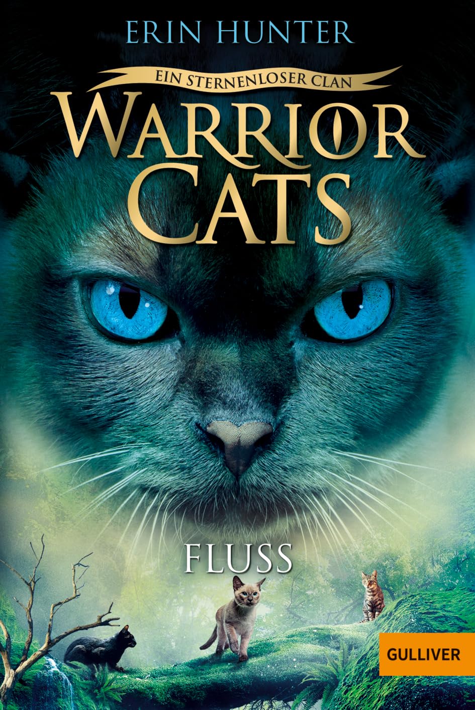Warrior Cats - Ein sternenloser Clan. Fluss: Staffel VIII, Band 1