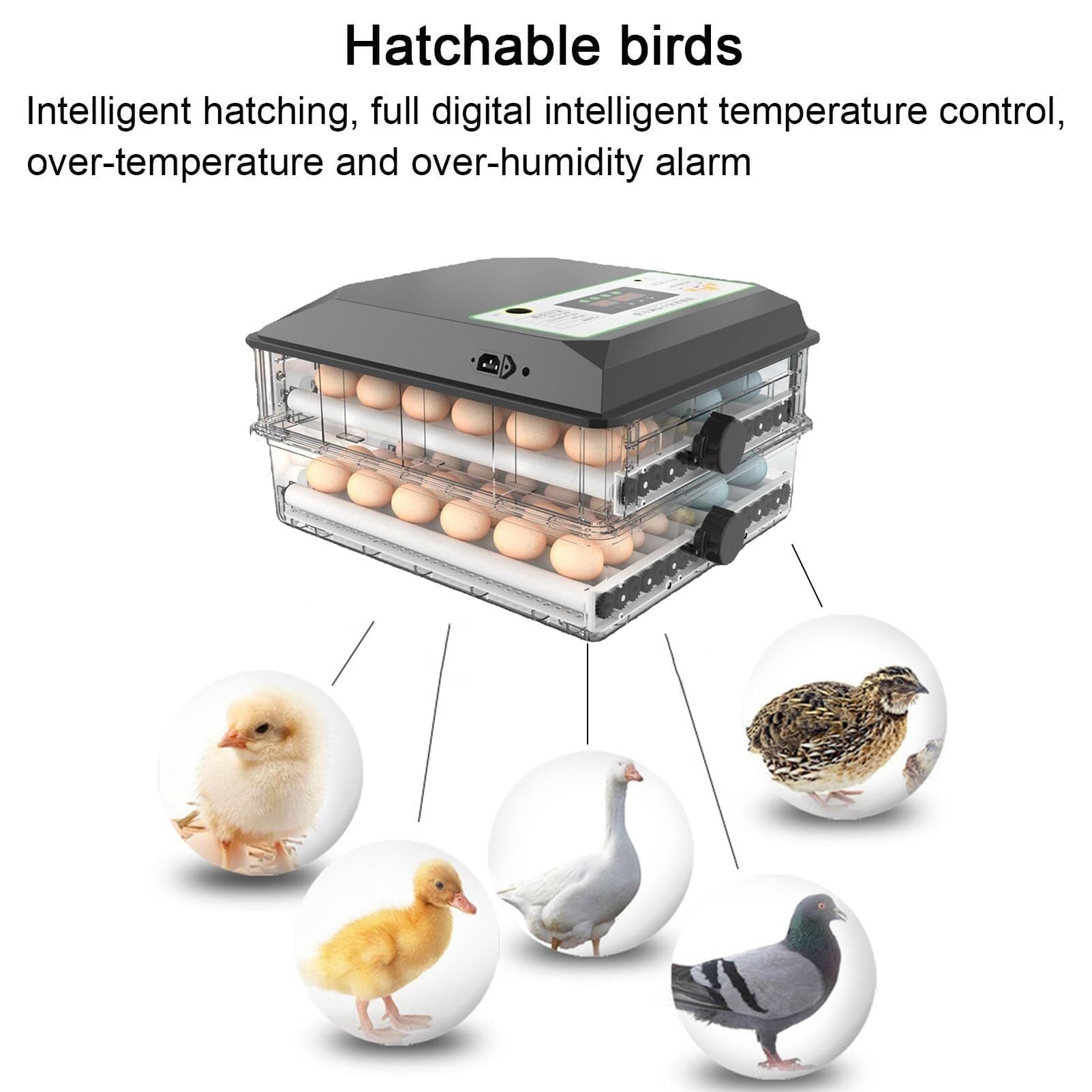Incubadora de huevos para incubar 64 huevos, inteligente automática con giro de huevos, control de temperatura y humedad, iluminación LED para pollos, patos, codornices