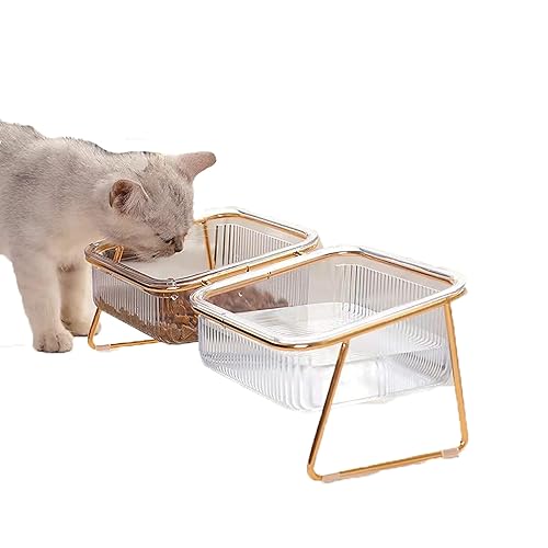Double Cat Bowl with 15° Tilted Stand, Anti-Slip Detachable Pet Food & Water Bowls, Stainless Steel Base & ABS Material, Ergonomic Raised Feeder for Cats and Small Dogs to Protect Neck and Digestion
