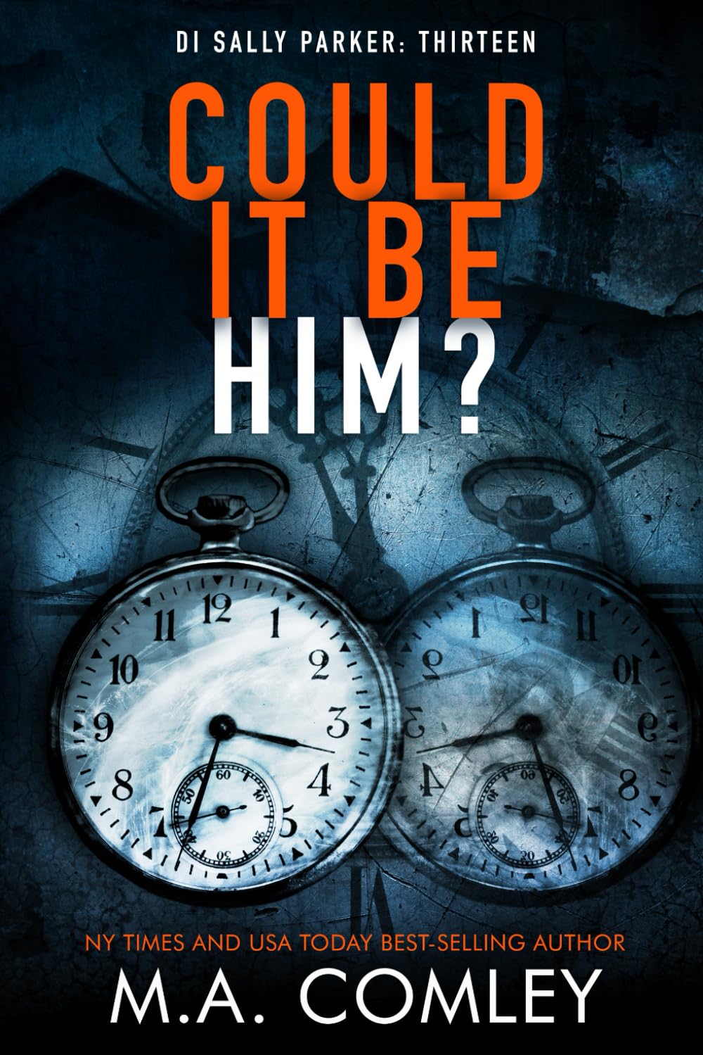 Could It Be Him? (DI Sally Parker)