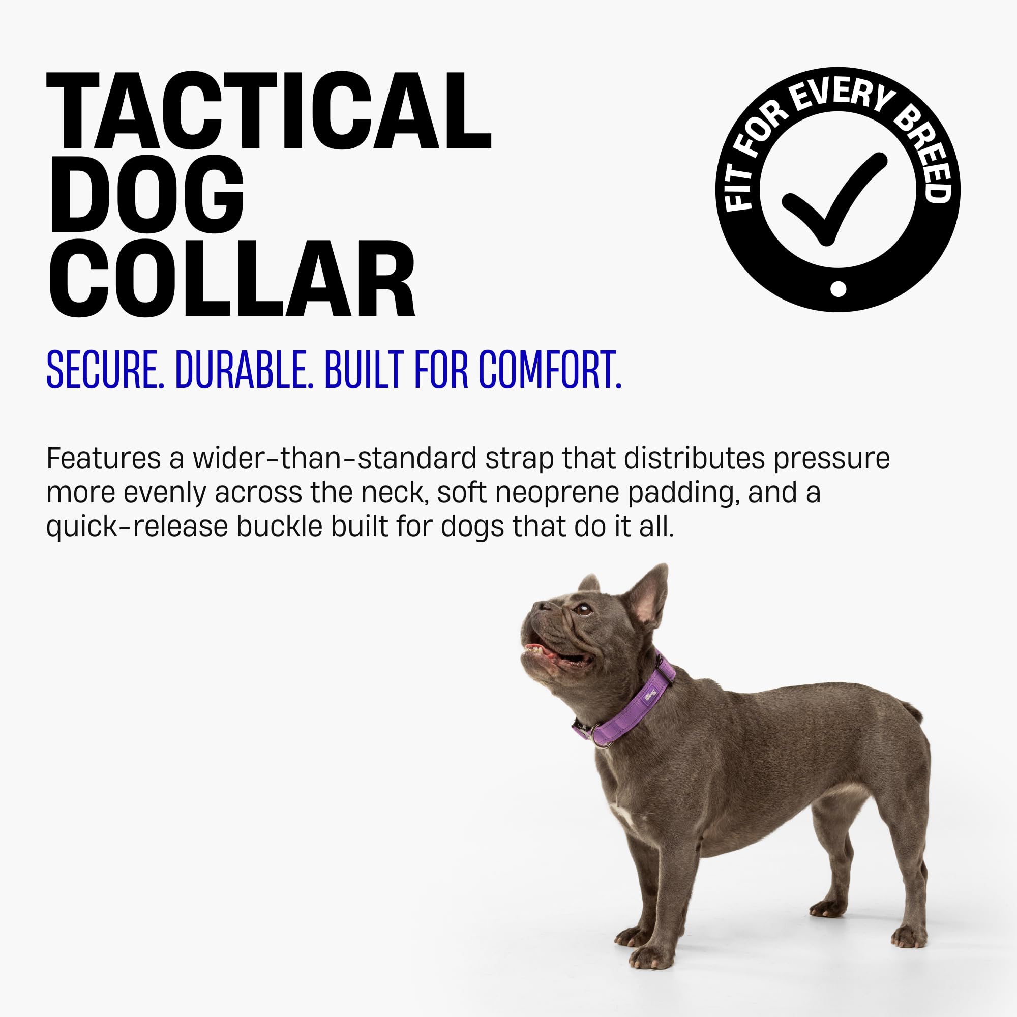 DF Co. Collar táctico para perro, cómodo y seguro, con hebilla de clip de liberación rápida y anillo en D resistente, neopreno acolchado suave, resistente a rozaduras, visibilidad nocturna, camuflaje