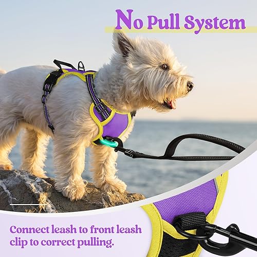 Vista 384 de rabbitgoo - Arnés antitirones para perro grande, con 2 aros para correa, acolchado suave, ajustable, tela Oxford, reflejante, no asfixia, chaleco