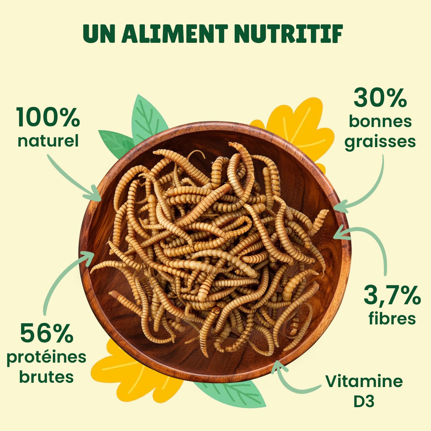 vers de Farine Séchés Français, 5kg (32,5L), 100% Naturel, Enrichis en Vitamines D3, Insectes Riches en Protéines et Bonnes Graisses, Nourriture Oiseaux Sauvages, vers de Farine Au Comptoir de Noé