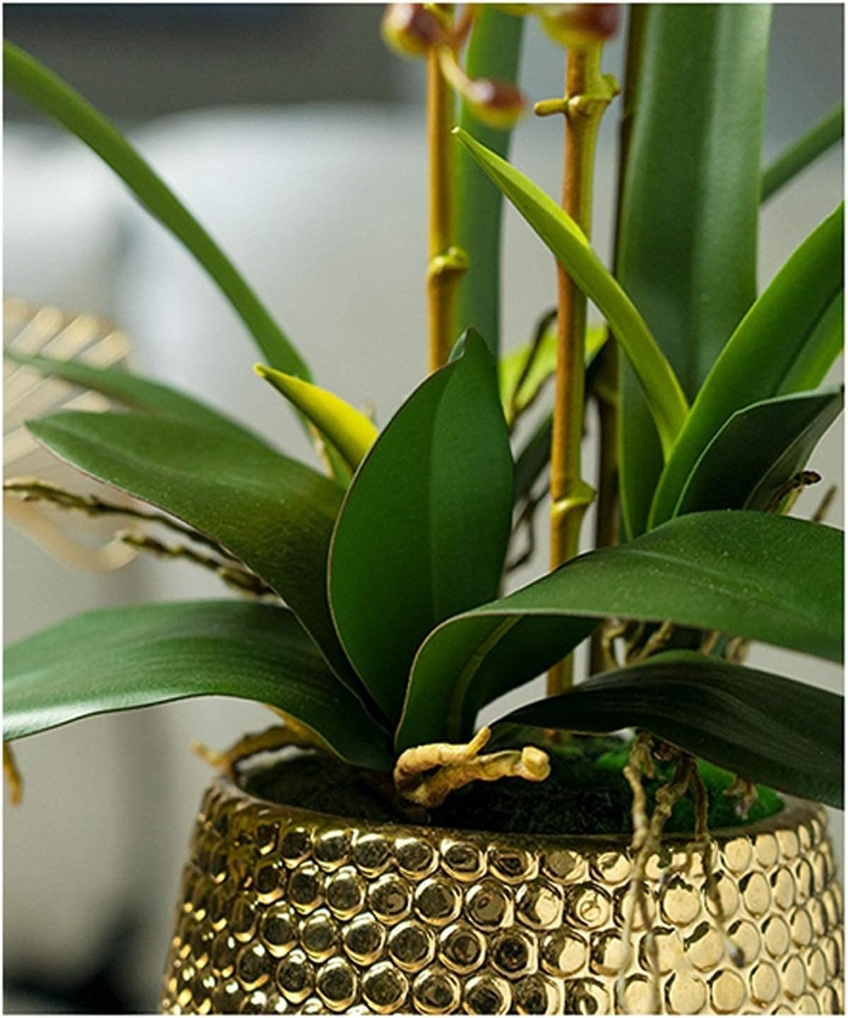 SDdPulse Orchidea artificiale con vaso in ceramica, orchidee finte, 54 cm, fiori artificiali Phalaenopsis in poliuretano, orchidea artificiale per la casa, molto naturale, giallo