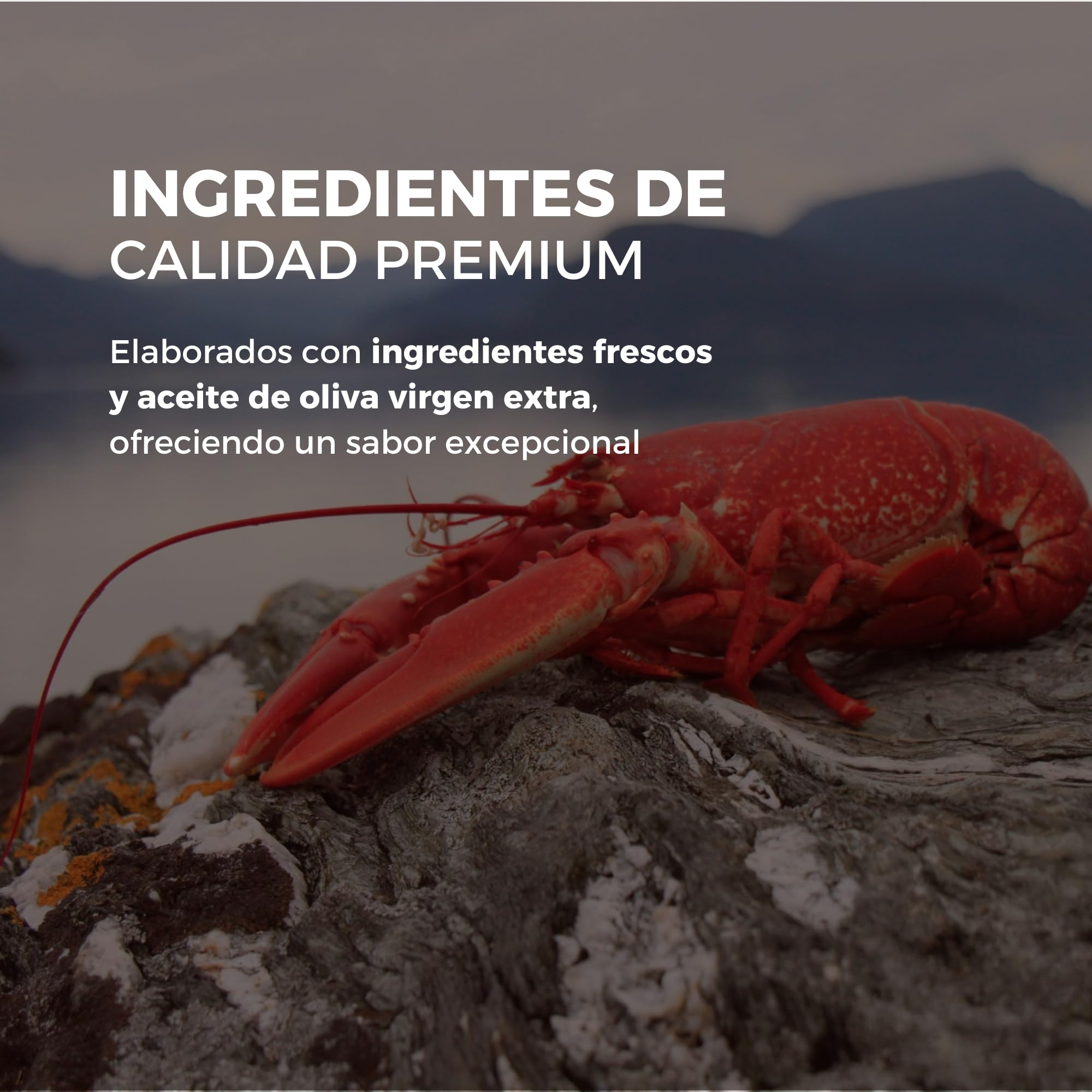 LA CHINATA - Pack anatre del mare