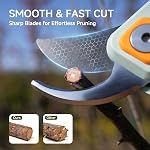 PrunePro Pruning Shears for Gardening Professional Bypass Hand Pruner Up to 1 Inch Cut Capacity Sharp Stainless Steel Blade Garden Scissors Plant Flower Garden Clipper 1 Pack