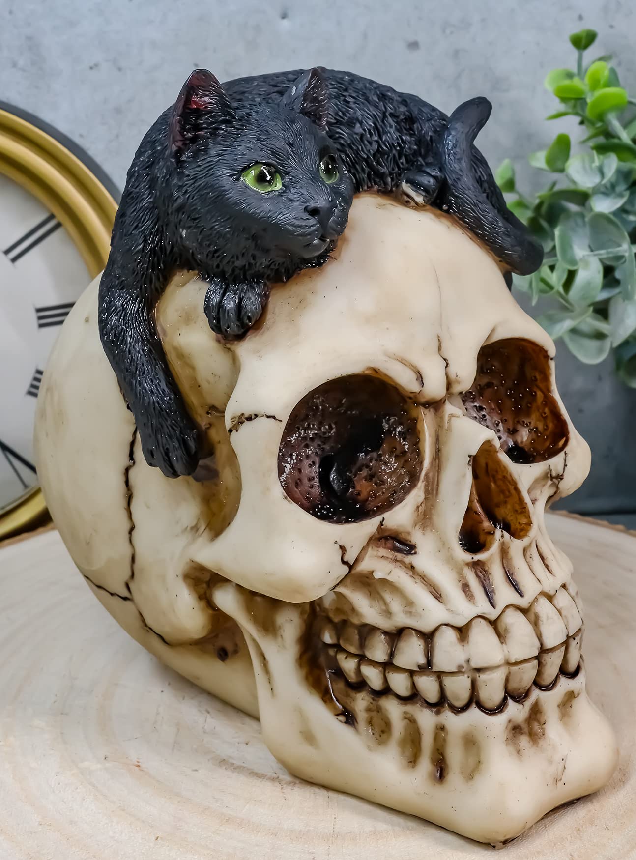Amazon.com: Ebros Cat Witching Hour Witchcraft Black Mystical Cat