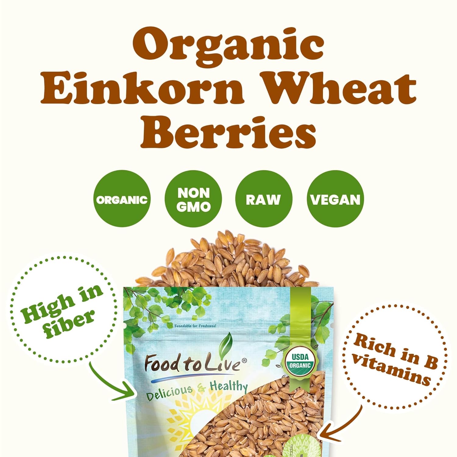 Food to Live Organic Einkorn Wheat Berries, 3 Pounds – Non-GMO, Good Source of Protein, Fiber, and Vitamins, Low-glycemic Index, USDA Certified, Glyphosate Free, Vegan, Raw, Kosher, Bulk