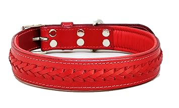 ZIIZO Genuine Leather Braided Luxury Dog Collar (Extra Large, Red)