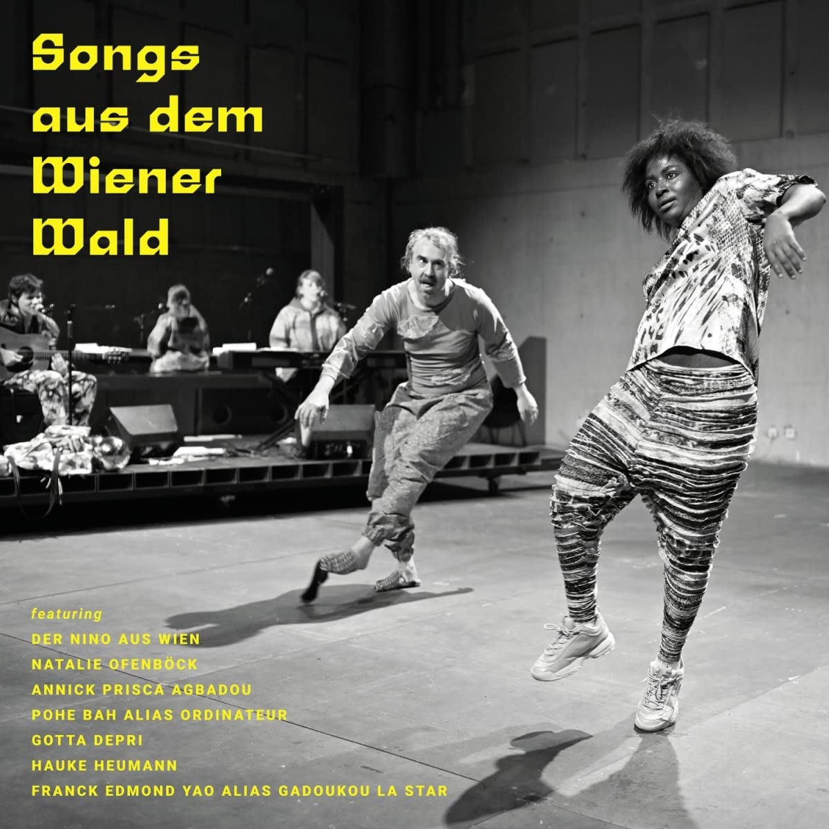 Songs aus dem Wiener Wald [VINYL]