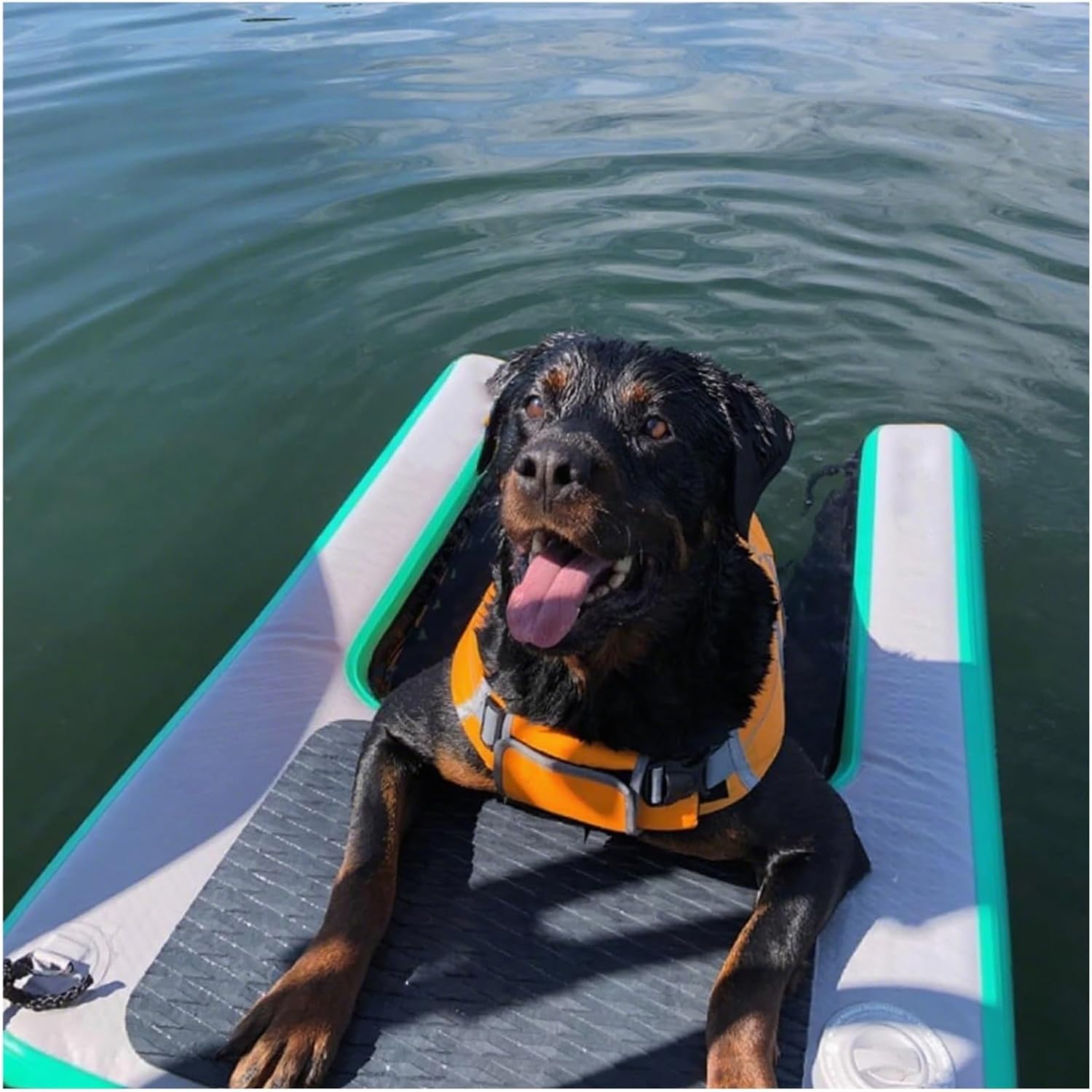 Inflatable Dog Pool Water Ramp, Portable Dog Pool Ladder Above Ground Pool with Anti-Slip EVA Pad, Lightweight Dog Dock for Water Park/Pet Swimming Pool/Resort(Green)