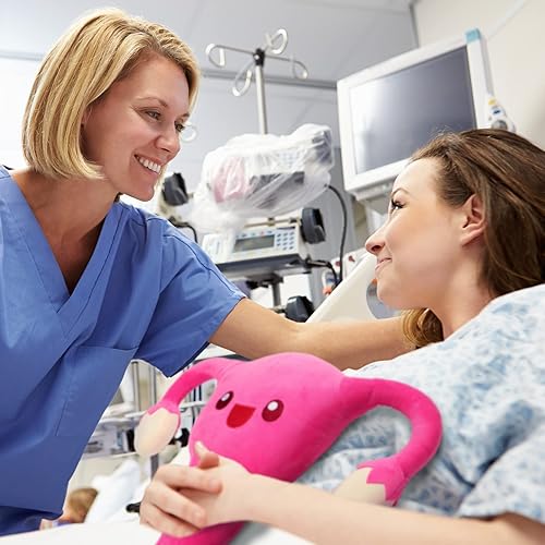 Miniatura 5 de Uterus - Juguete de peluche divertido para mujeres, regalo educativo de anatomía y decoración de fiesta (estilo utero)