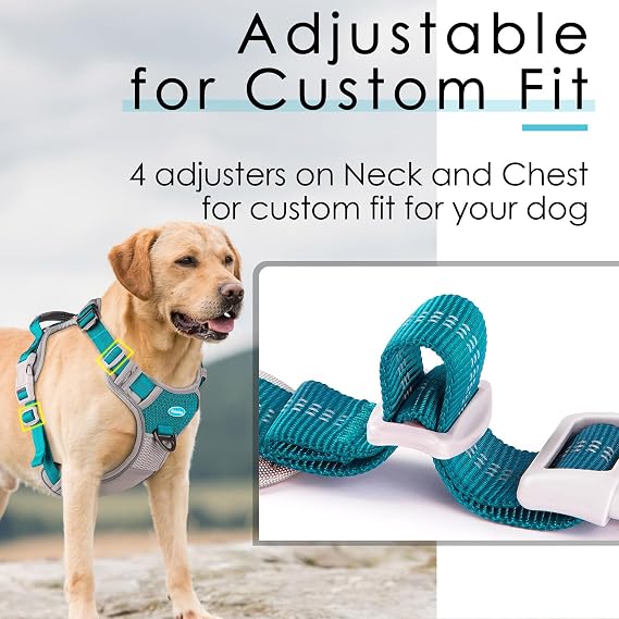 ThinkPet No Pull Harness Breathable Sport Harness with Handle-Dog Harnesses Reflective Adjustable for Medium Large Dogs,Back/Front Clip for Easy Control S Bright Teal