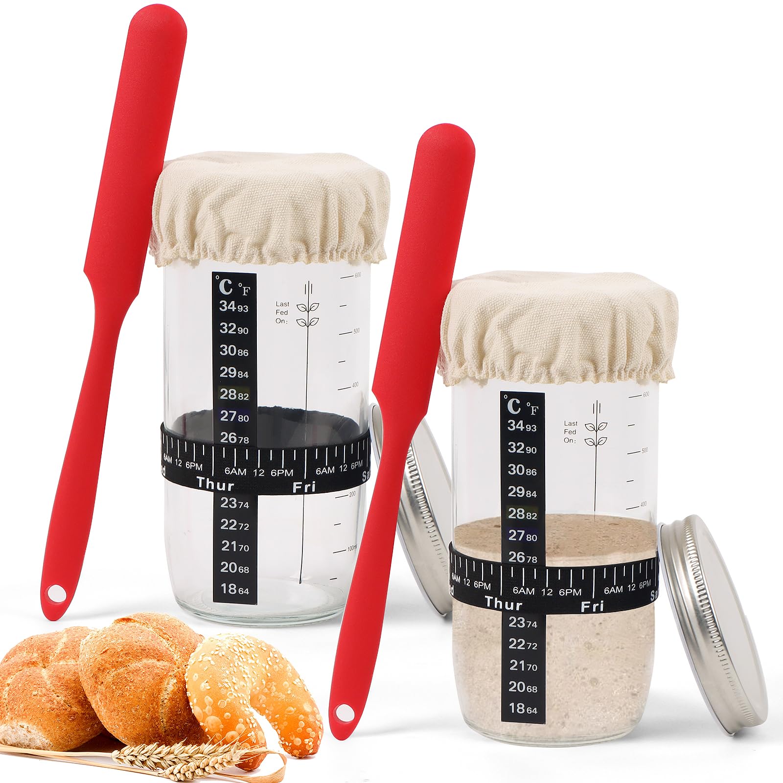 PITCH + PULSE Sauerteig Starter Kit – 730 Ml Glas, Mit Thermometer, Fütterungsband, Spachtel