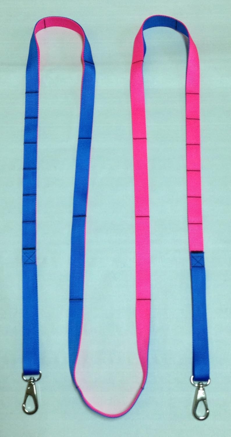 Multifunctional Leash, Collar, Harness, Splitter, Seatbelt - Tooferone (Blue/pink), 10 Feet, 1" Width