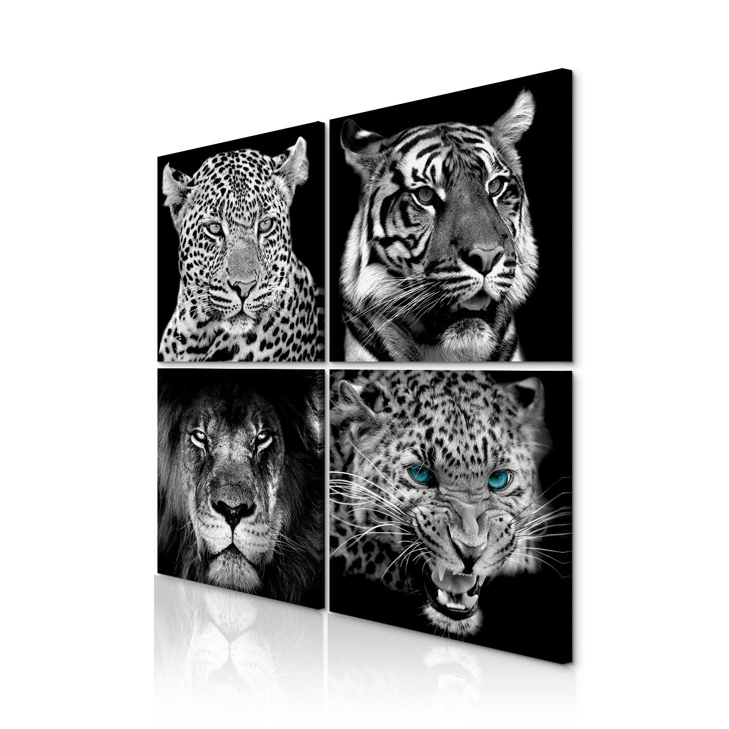decomonkey Quadri Moderni Soggiorno Animali Tigre Gatti, 4 pezzi, 40x40 cm | Tela strutturata su telaio in legno, decorazione da parete, leone, occhi, turchese, bianco, nero, Quadro Stampa su Tela