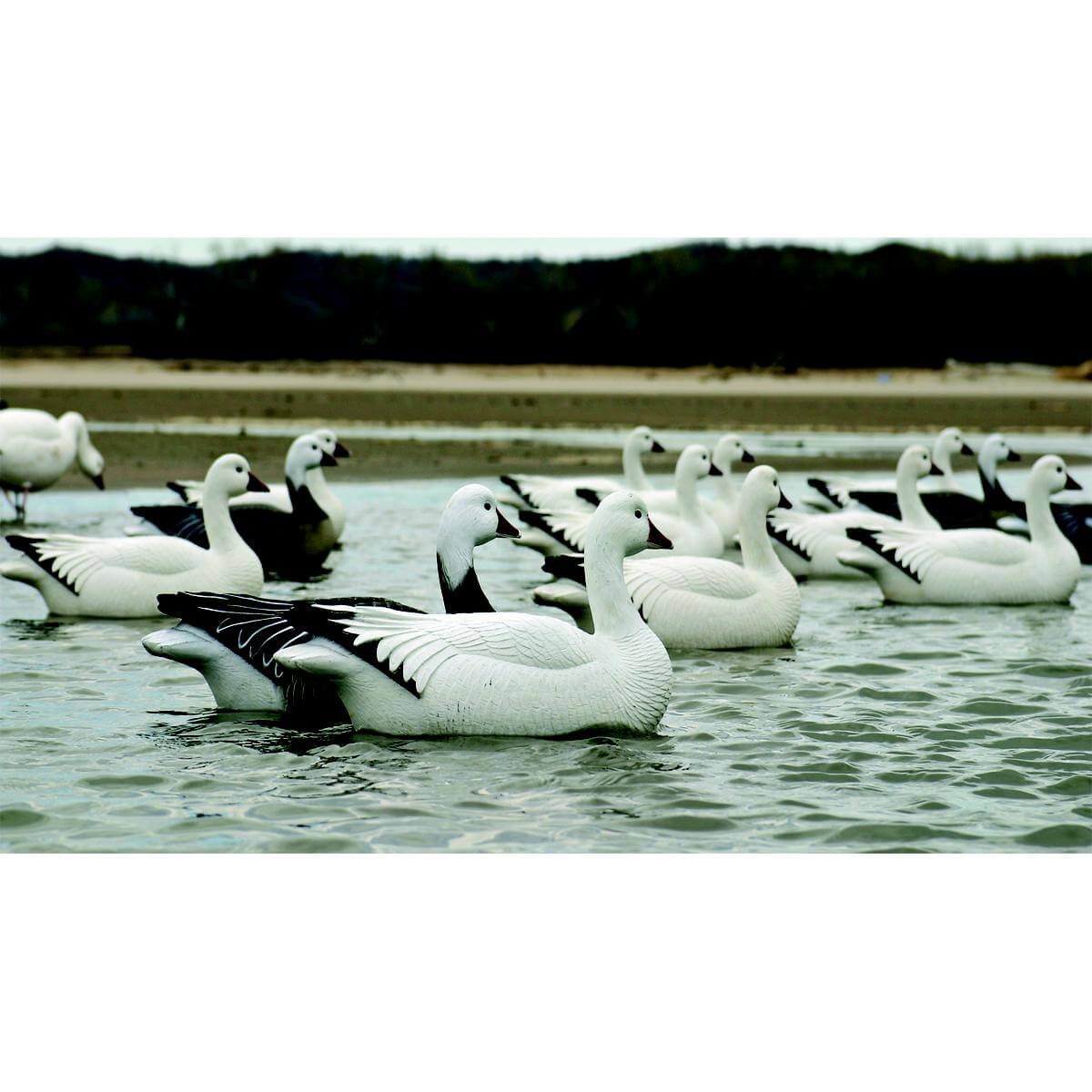 Dakota Decoy X-Treme Snows and Blues