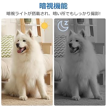 Amazon.co.jp: 超小型カメラ 隠しカメラ キーレス型カメラ 1080P