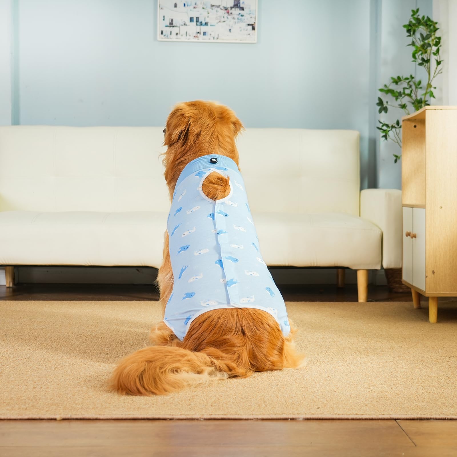 Body Post Operatorio Cane Femmina Tutina Post Operatoria Cane Body Chirurgico per Cani Maschio Tuta Recupero per Cani di Ferite Addominali, Anti-Leccamento (Blu-balena, XXL)