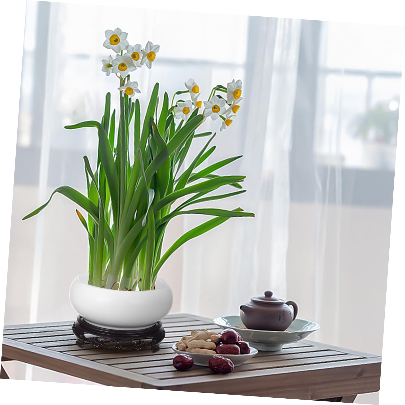 Amazon.co.jp: iplusmile セラミック製水耕栽培プランター 植物容器