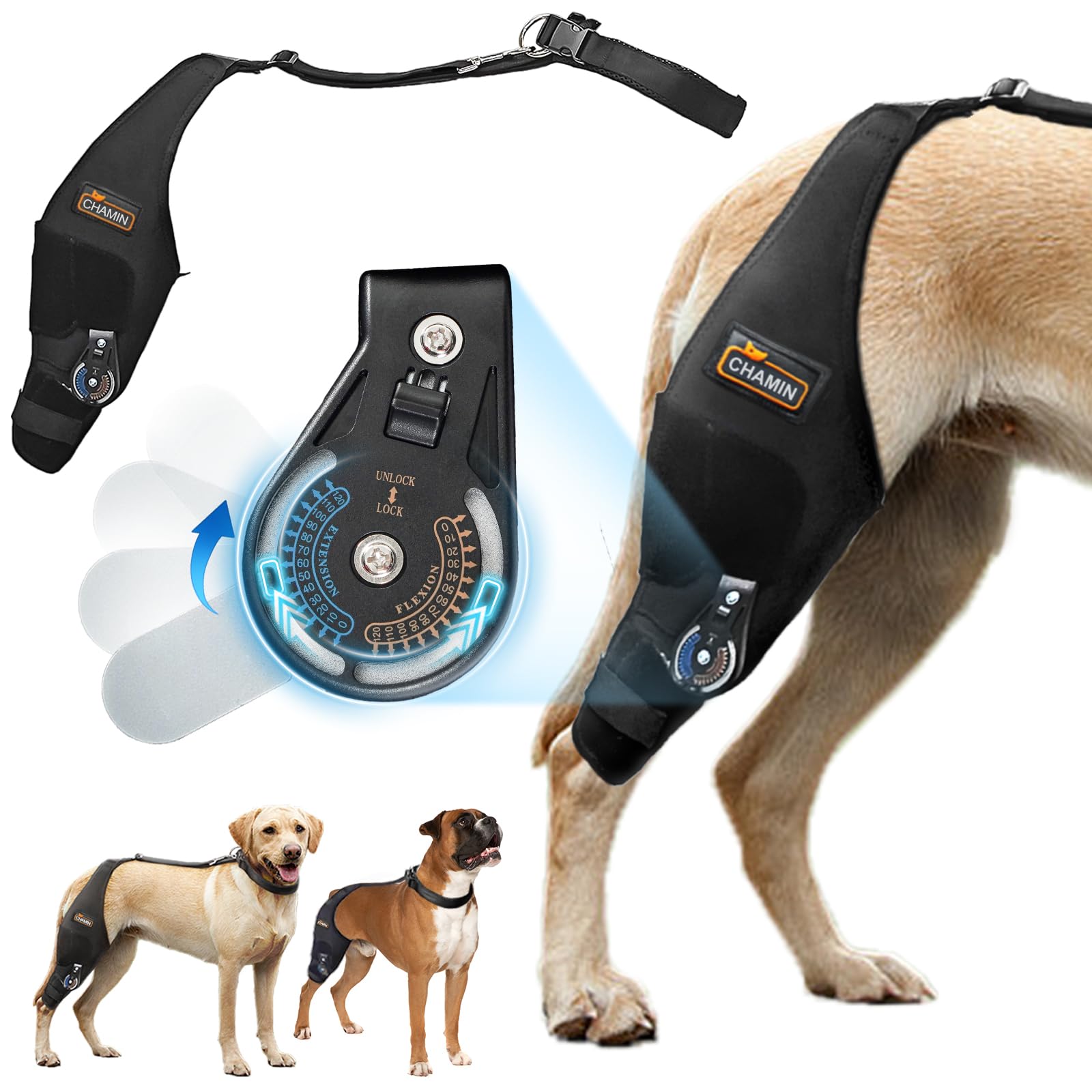 CHAMIN/RISURRY Adjustable Dog Knee Brace with Extra Collar, Support for Torn Acl Hind Leg, Tear Ligament, Osteoarthritis,Rear Leg Limp, Recovery After Surgery,et(Right Leg,L)