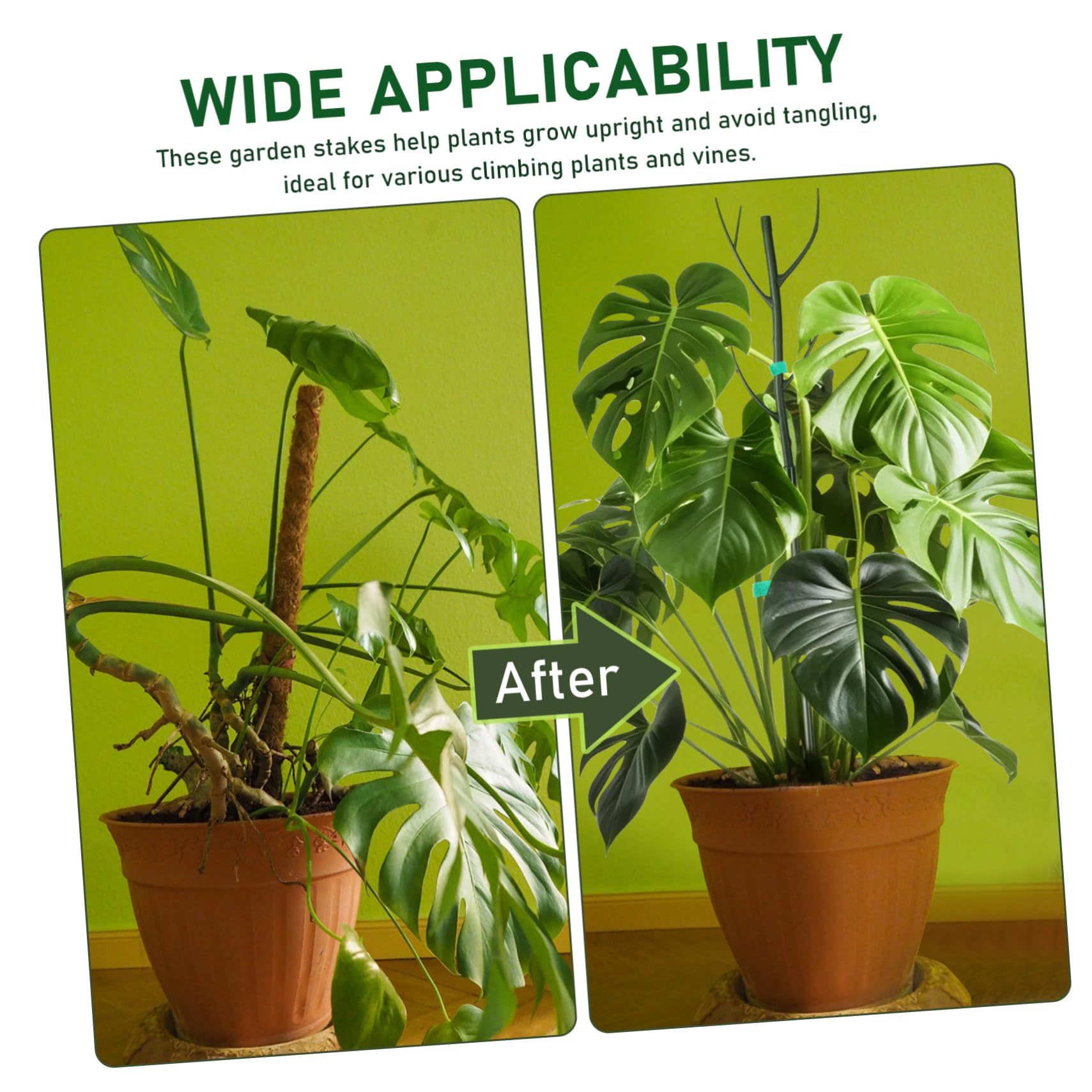 VANZACK Tuteur pour Plantes Grimpantes en Plastique Vert, 1 Set Clips à Fleurs et Attaches Torsadées, Résistant, pour Intérieur et Jardin
