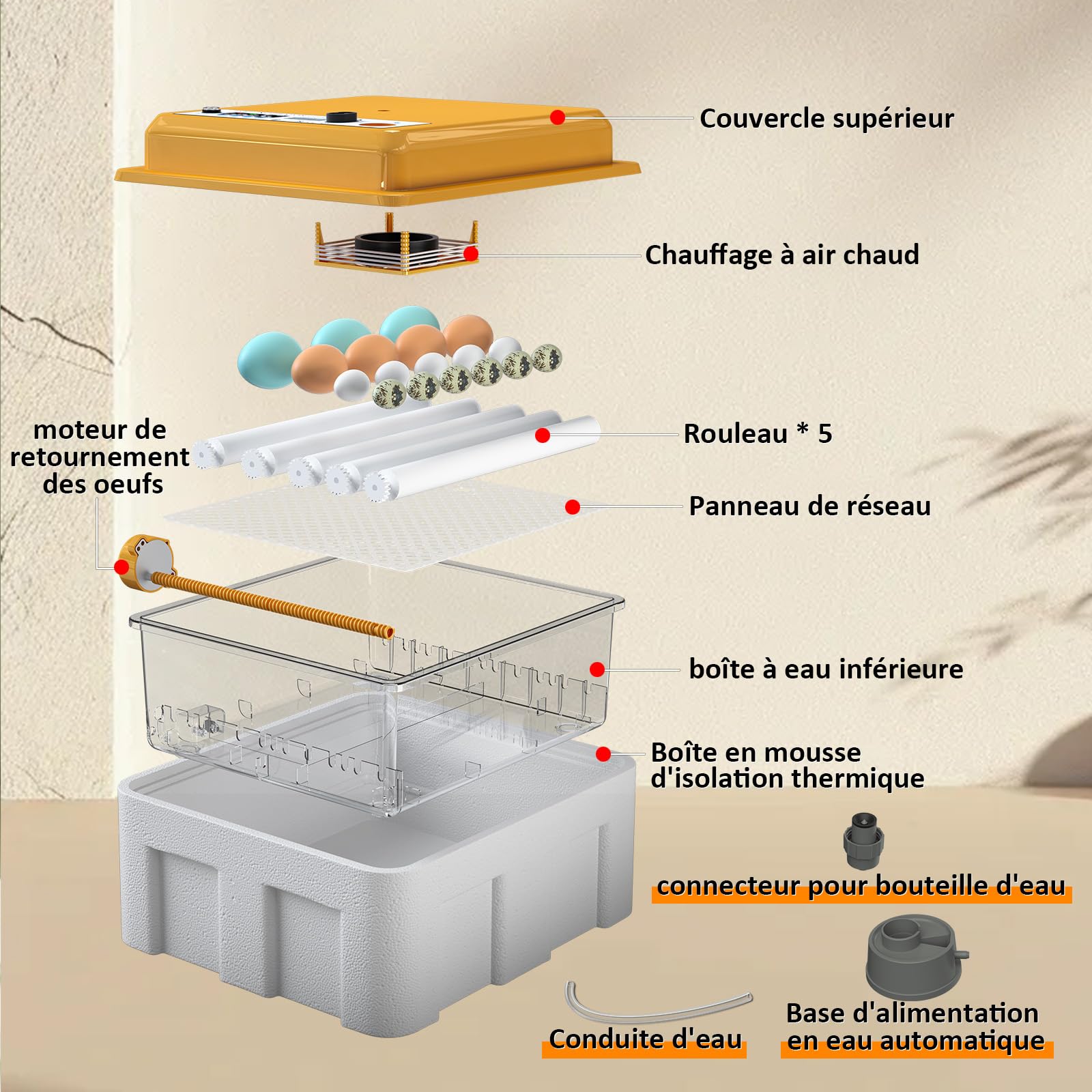 Couveuse Oeuf Automatique avec Contrôle de Température Retournement Automatique pour 16 Oeufs, Incubateur Oeuf rouleaux réglables et ajout automatique d'eau, Couveuse Mire Oeufs Intégré