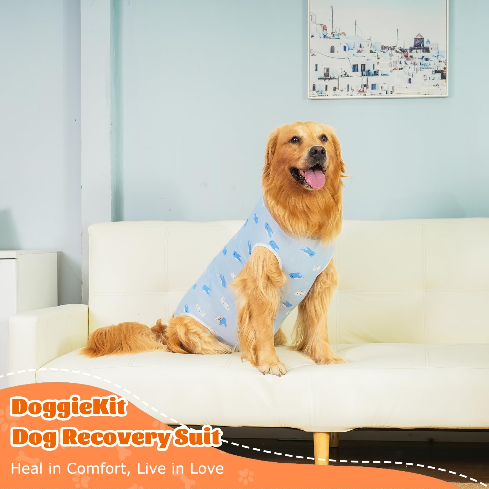 Body Post Operatorio Cane Femmina Tutina Post Operatoria Cane Body Chirurgico per Cani Maschio Tuta Recupero per Cani di Ferite Addominali, Anti-Leccamento (Blu-balena, XXL)