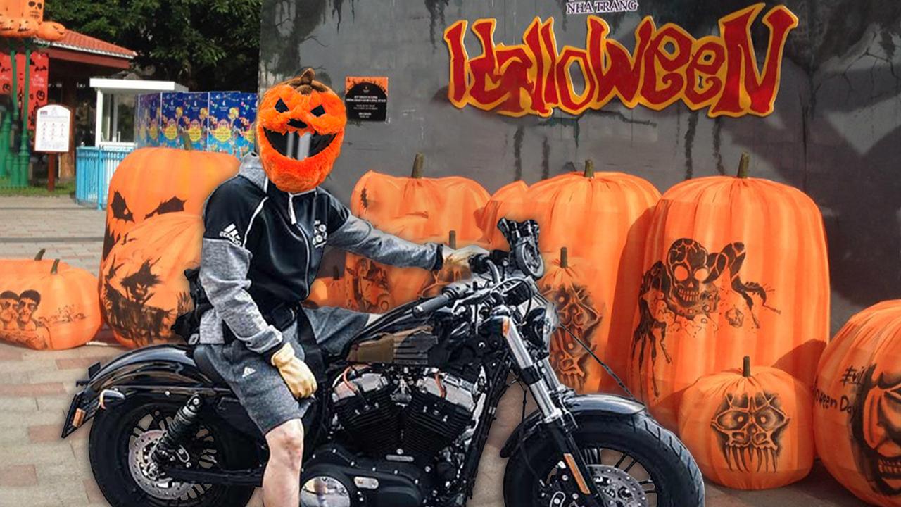 GLAHORSE Motorcycle Helmet Cover, Halloween Pumpkin, One Size Fits All, Satisfaction Guarantee, Orange : Automotive