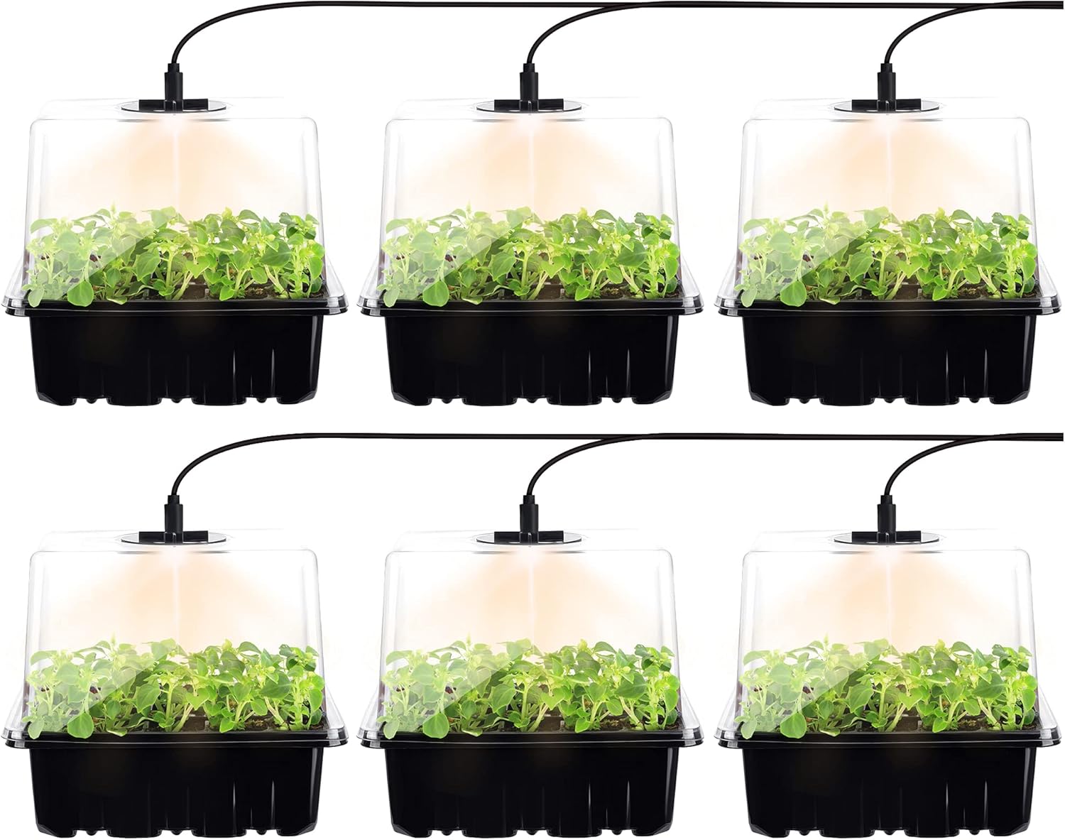 Seed Starter with Light, 6 Pack 12 Cells Seed Starter Tray