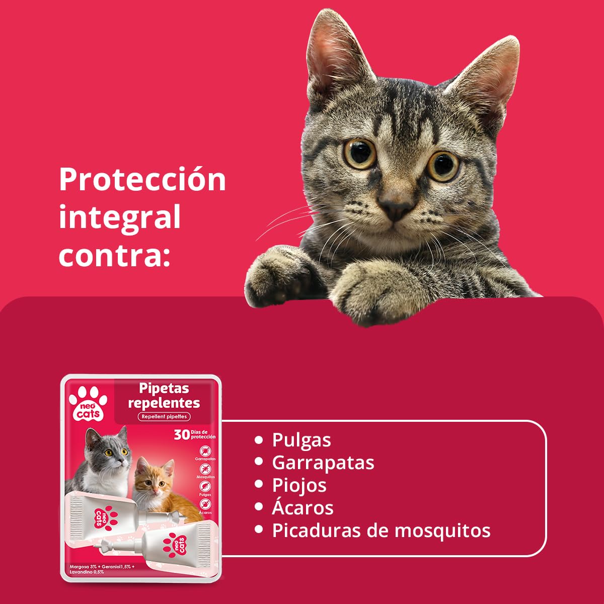 NEO CATS - Pipetas Repelente Anti-insectos para Gatos - Contra Pulgas, Garrapatas y Mosquitos - 30 días de Protección - Con Margosa, Geraniol y Lavandino - Olor Herbal - 2 unidades