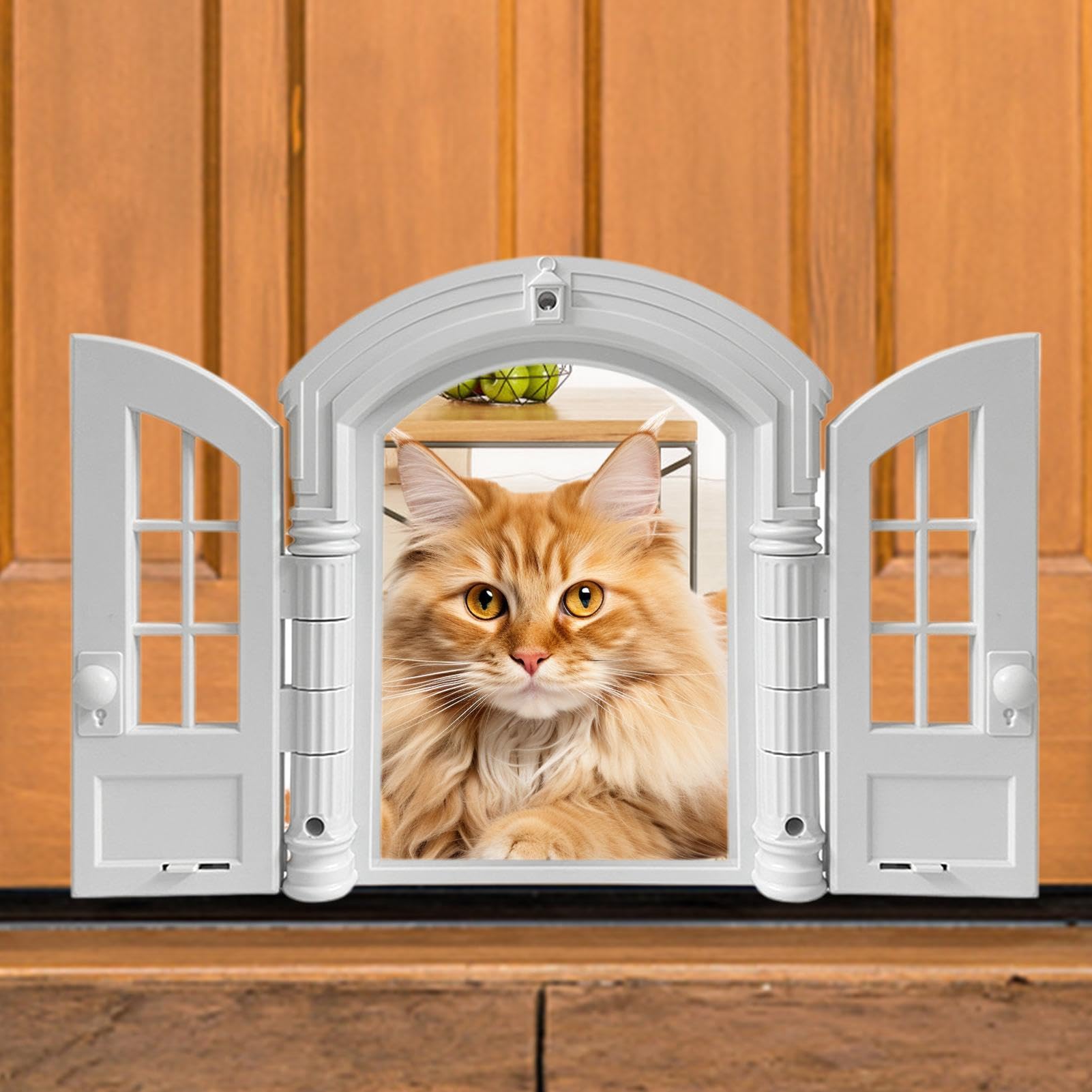 Chatières pour chats Entrée pour petit et moyen chien anti-évasion