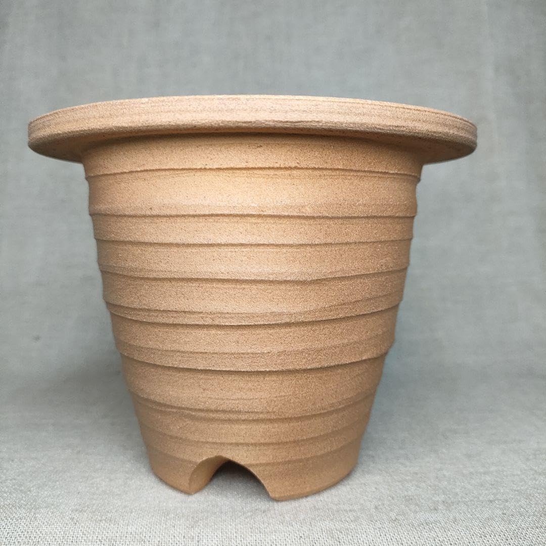 Amazon.co.jp: 焼き締め植木鉢 唐津焼 : DIY・工具・ガーデン