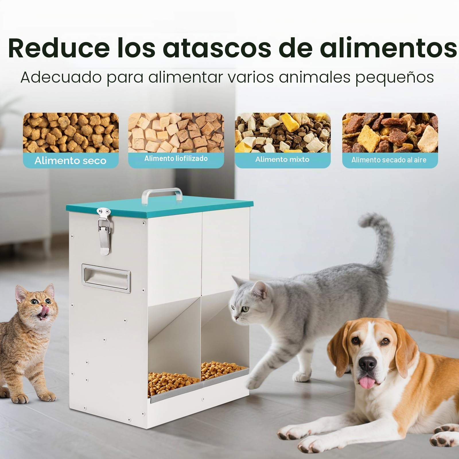 10L Automático Comedero para Gatos y Perros, Dispensador de Comida Seca para 2 Gatos, Dispensador Automático de Comida para Mascotas para Perros