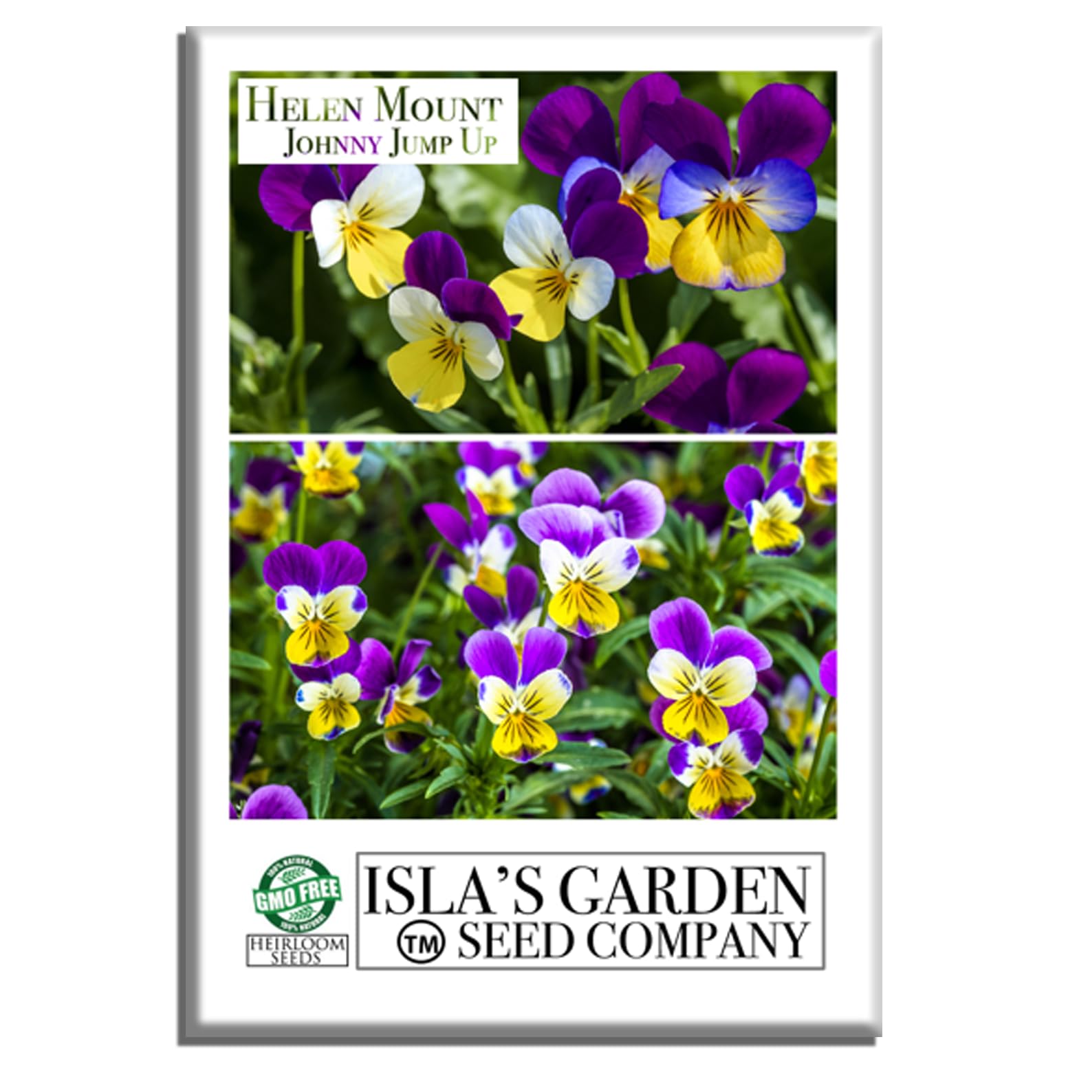 Helen Mount Johnny Jump Up Seeds (Viola cornuta & Tricolor) – 500+ Non-GMO & Heirloom Seeds by Isla’s Garden Seeds, Edible Flowers, Pollinator-Friendly, Great for Beds, Pots, Pathways