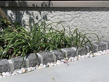 土日引き取り対応可 天然灰御影石 カナダ産 カレドニア 1360枚