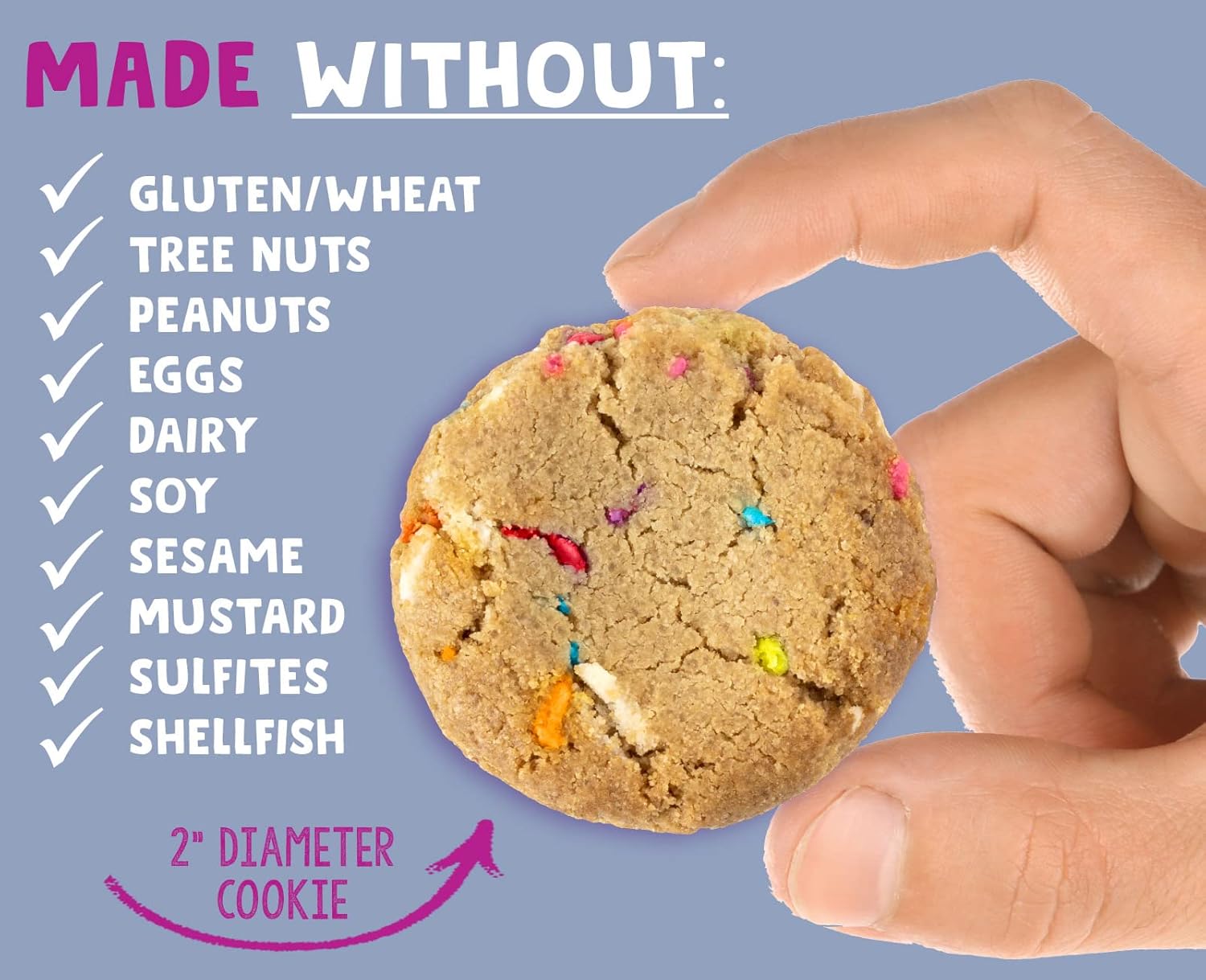 Generic A.llergy Smart Birthday Cake Cookies 4.95 oz (Pack of 6)