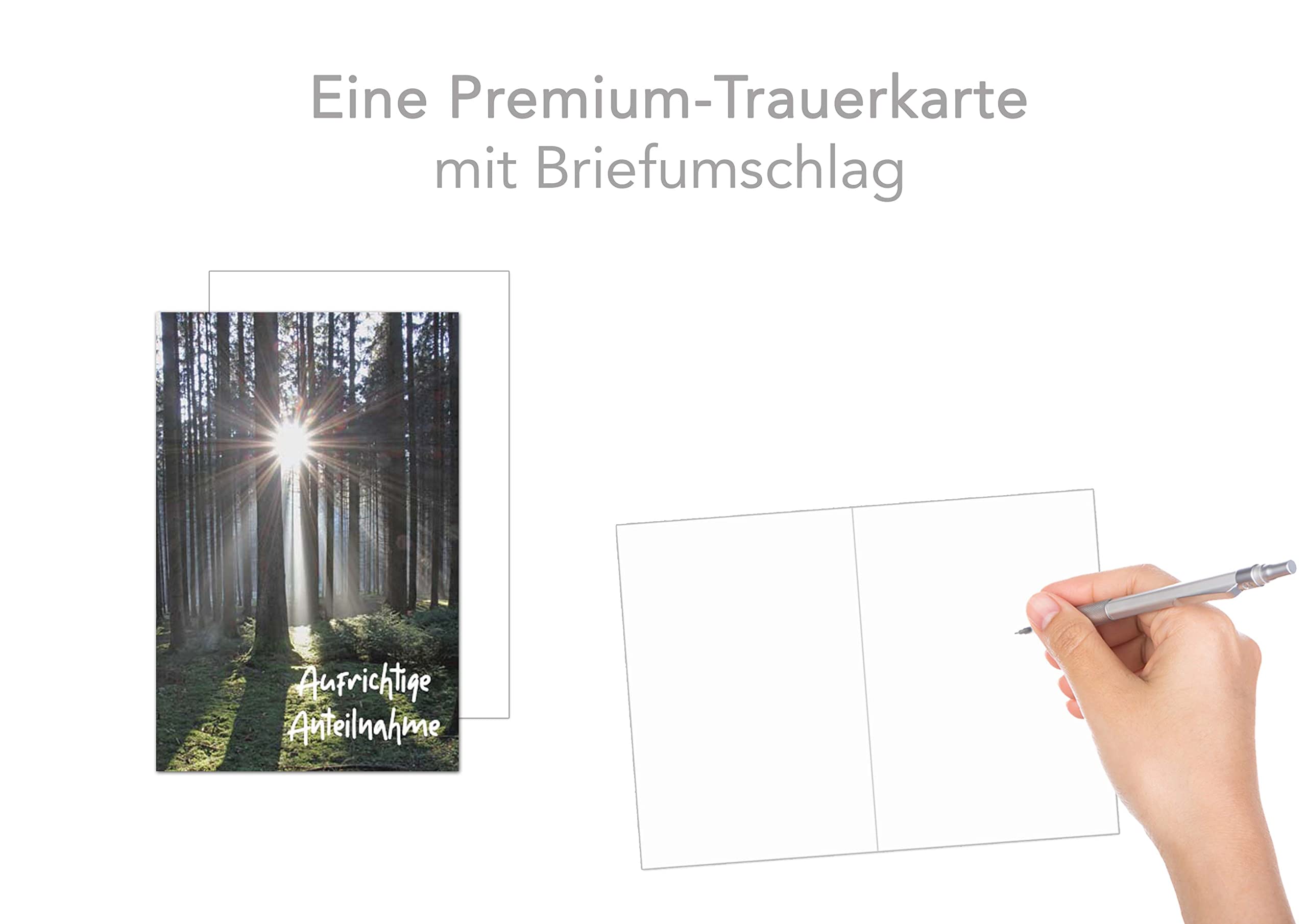 Edition Seidel Premium Trauerkarte – Beileidskarte Mit Wald-Design, 17 X 11,5 Cm, Inkl. Umschlag