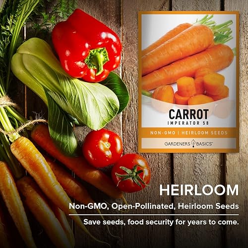 Miniatura 5 de Las semillas de zanahoria para plantar el jardín en casa (Imperator 58) son una gran variedad de verduras no transgénicas, 0.07 onzas de semillas
