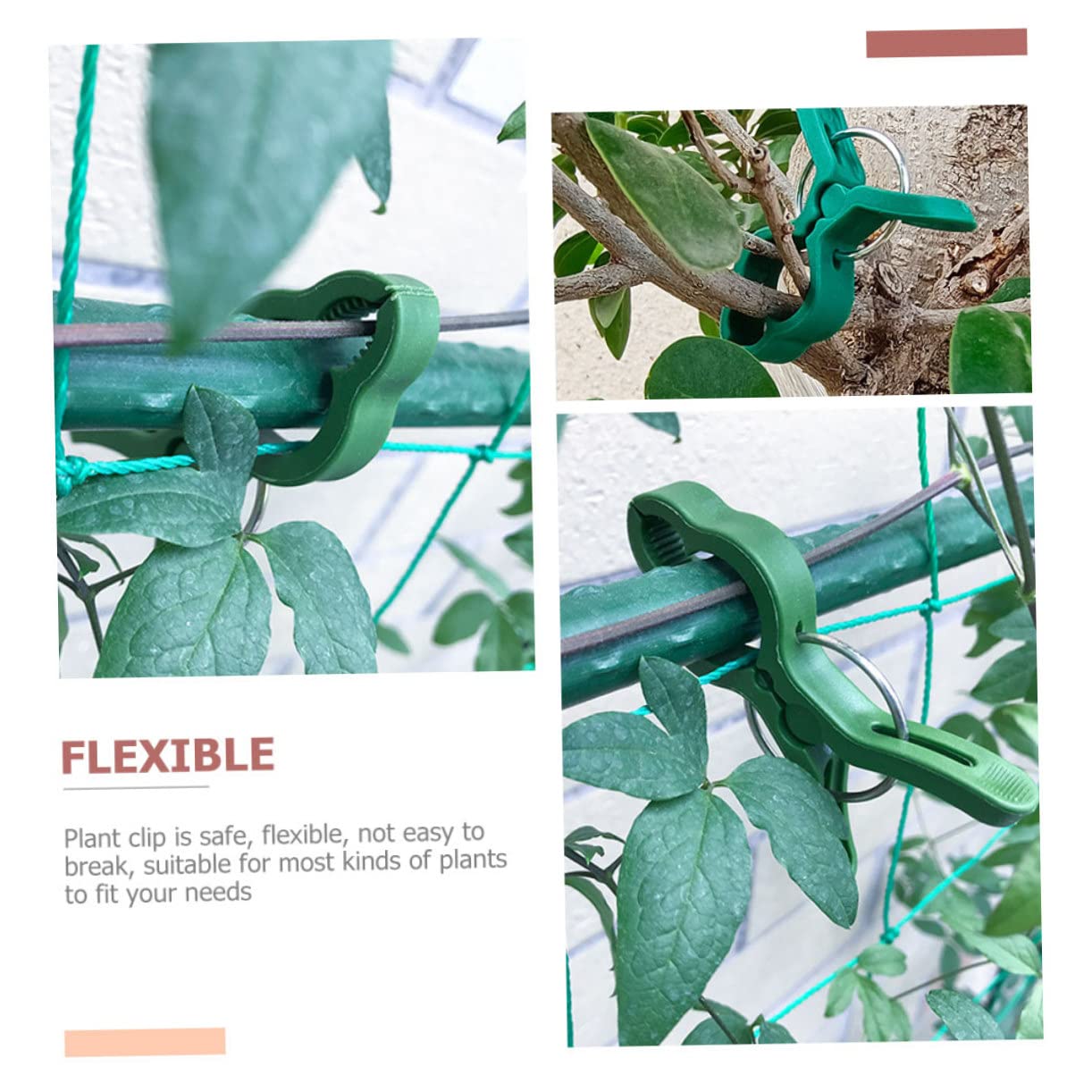 50 Stück Gartenclips Pflanzen Pfingstrose Aufstecksieb für Töpfe Gartenspalier Blumenrankenclips Grün Plant Clips pflanzklammer tomatenclip Anlage Orchideenranke Wein-Clips Plastik