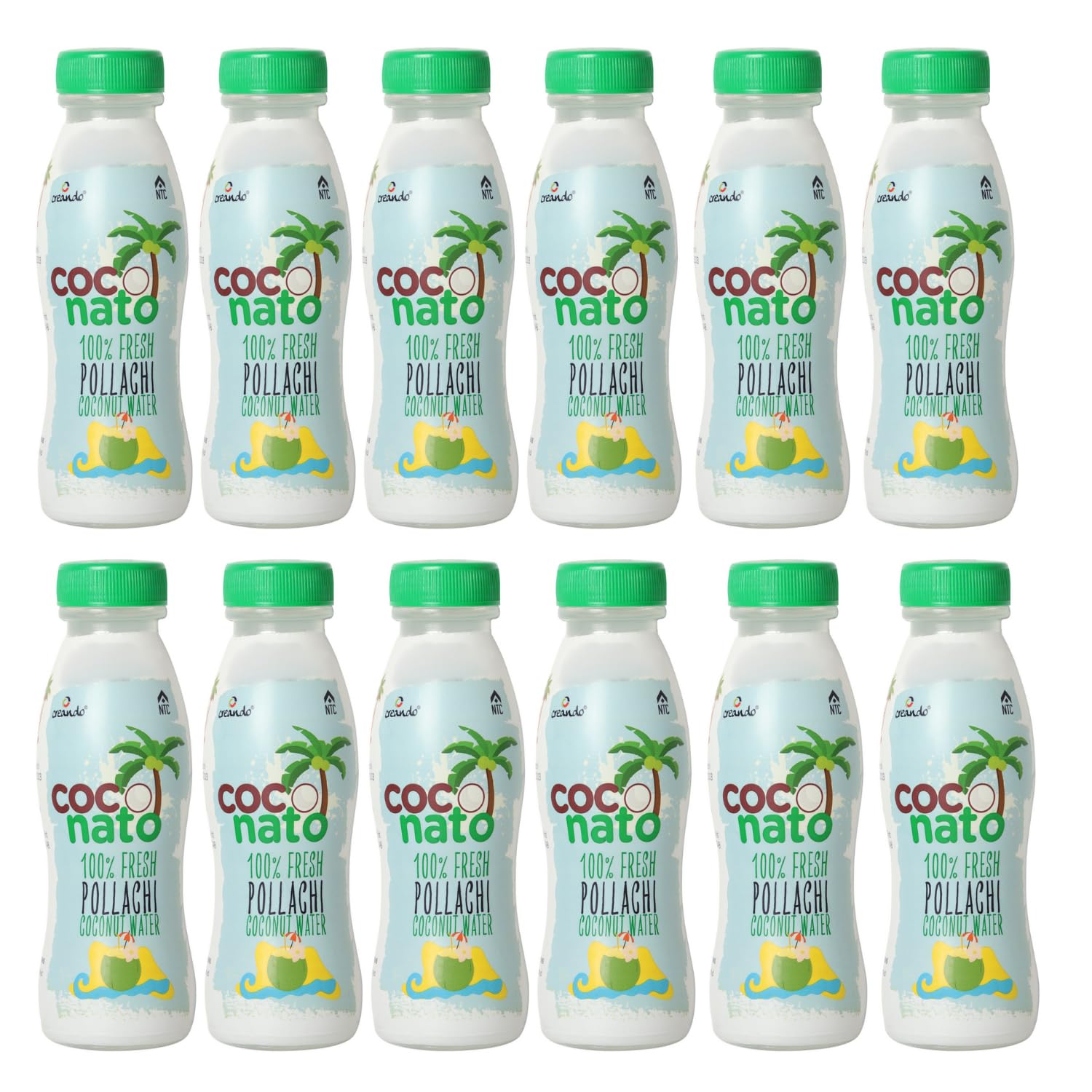 Creando Coconato Pollachi Natural Tender Coconut Water I No Added Sugars or Artificial Flavors I Nariyal Paani For Daily Hydration (Pack of 12, 200ml Each) (B0D9LKL4FV) Amazon Price History, Amazon Price Tracker