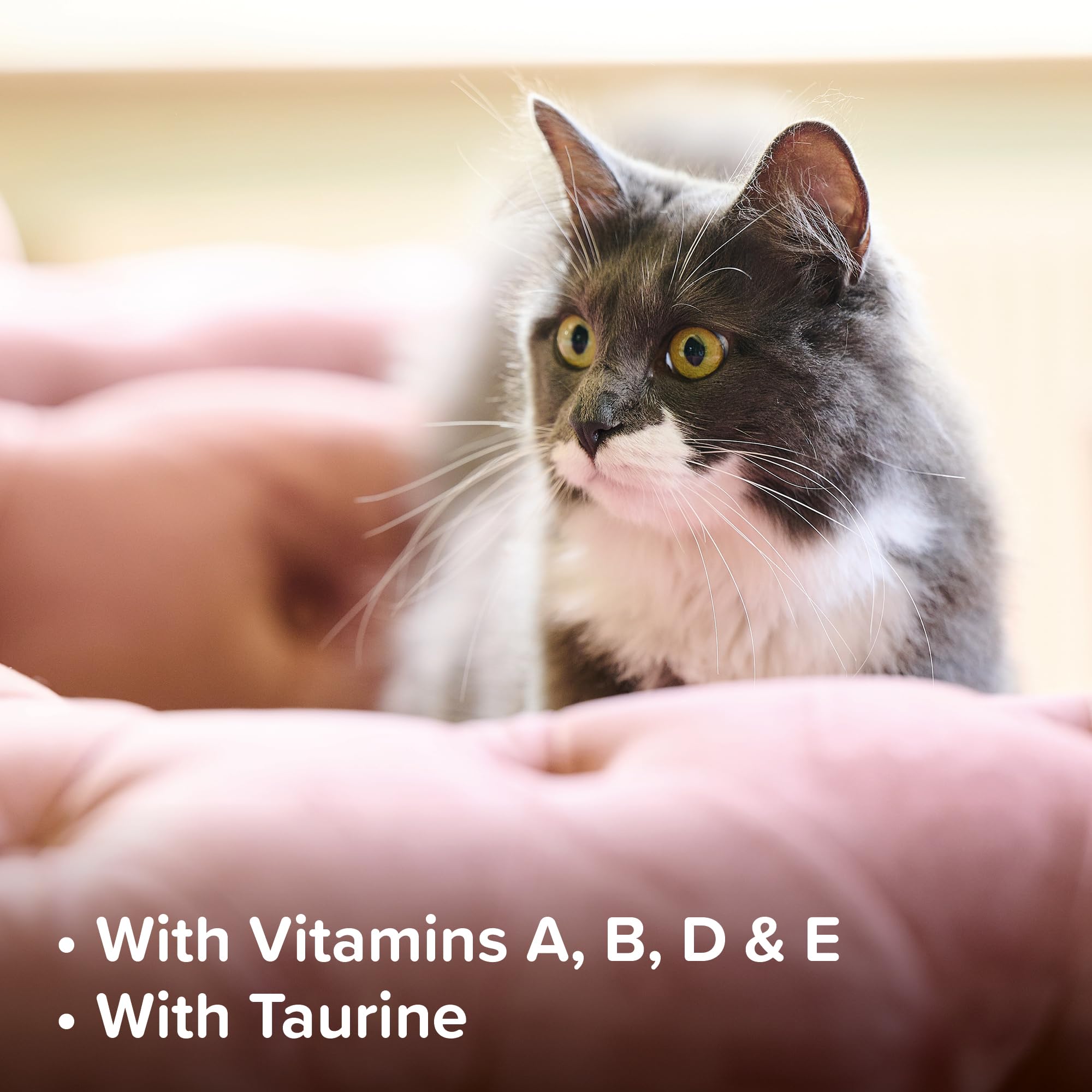 Beaphar - Top 10 Multi-Vitamin Tablets for Cats - Daily Essential Supplement – With Vitamins A, B, D, E and Minerals, Supports a Healthy Immune System, Skin & Coat, Strong Bones & Teeth – 180 Tablets