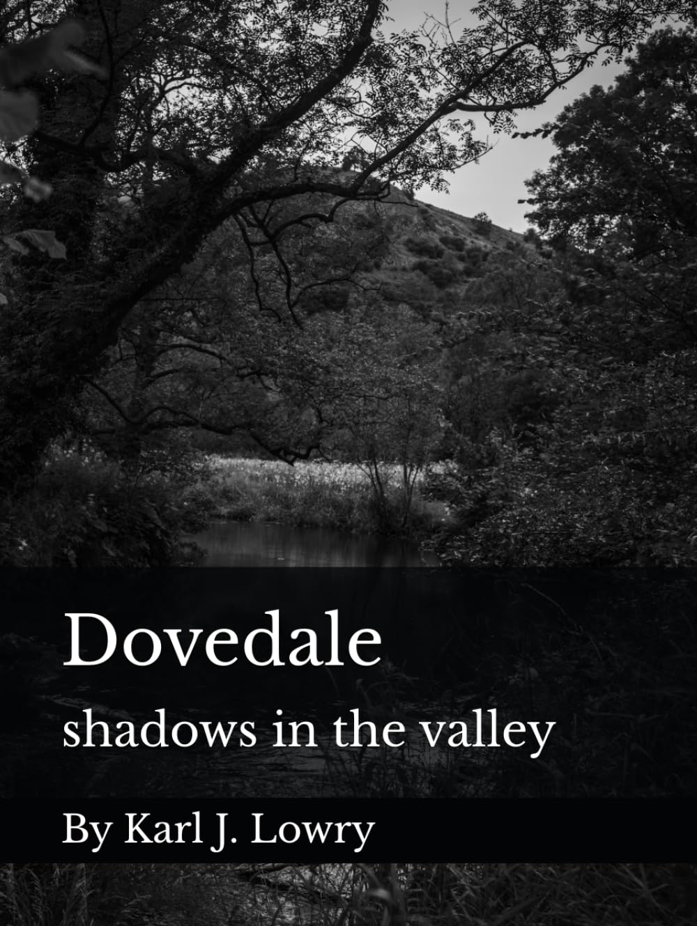 Dovedale shadows in the valley album de photographies