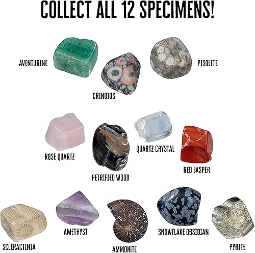 Miniatura 5 de Thames & Kosmos I Dig It! Rocks & Fossils - Juego de regalo de 24 mini excavaciones | Recuerdos de fiesta de cumpleaños